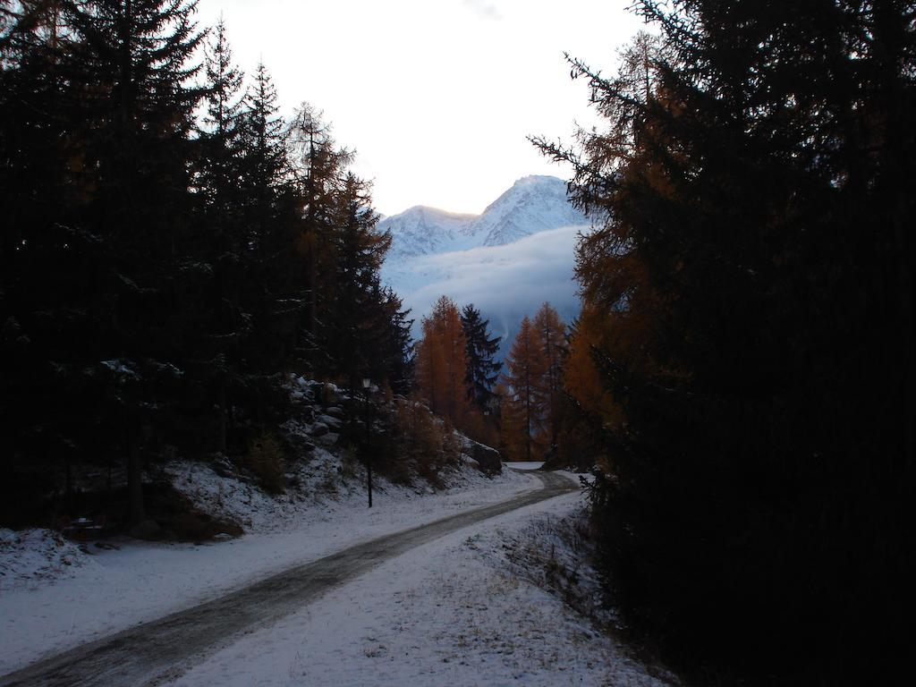 Chalet Petunia Grächen Zewnętrze zdjęcie